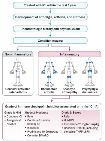 Figure 1: Identification and clinical approach to immune checkpoint inhibitor-associated arthritis