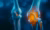 Advancing the Role of Bone Turnover Markers in Osteoporosis Management - Stuart Silverman, WCO-IOF-ESCEO 2025