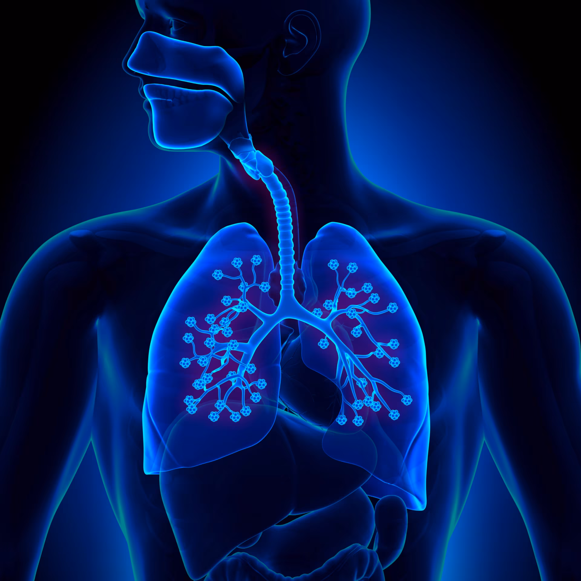 Screening for Interstitial Lung Disease in Systemic Autoimmune Rheumatic Diseases: Current Evidence and ACR 2023 Guideline Recommendations