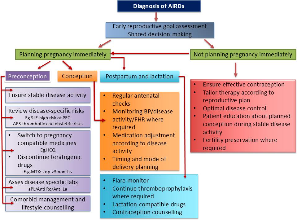 Figure 2: Clinical work flow for reproductive goal assessment and pregnancy planning in autoimmune rheumatic diseases